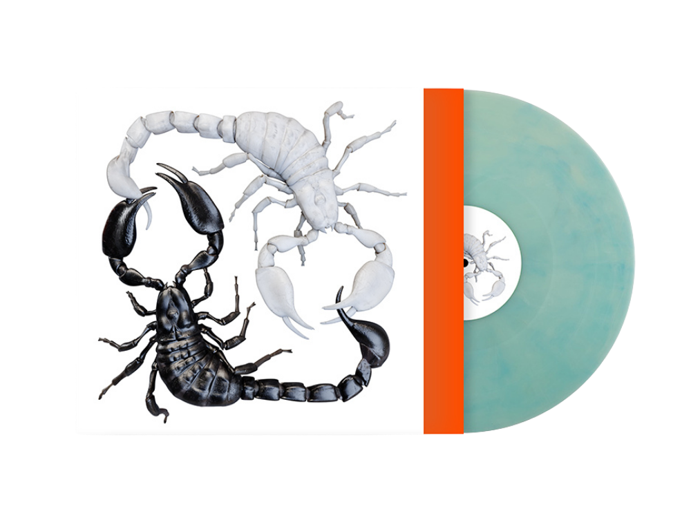 IJsland Vinyl Reykjavik Blauw
